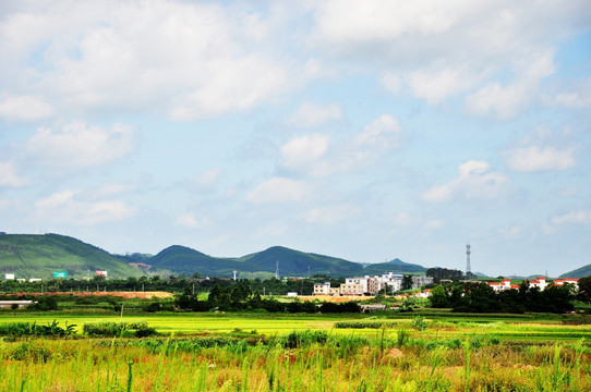 稻田 村庄