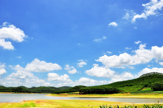 蓝天 草地