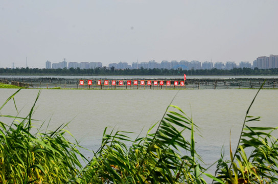 阳澄湖大闸蟹养殖基地