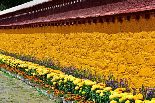 藏族建筑 罗布林卡