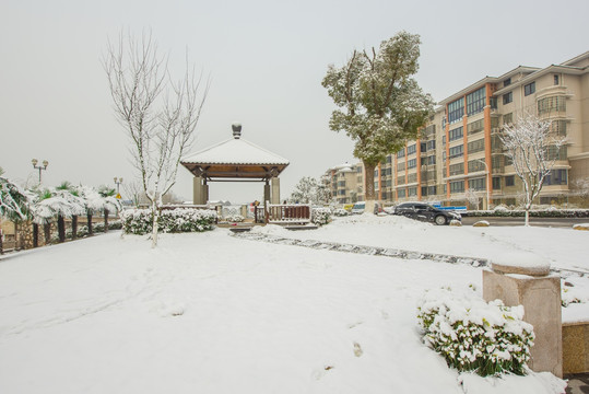 小区雪景