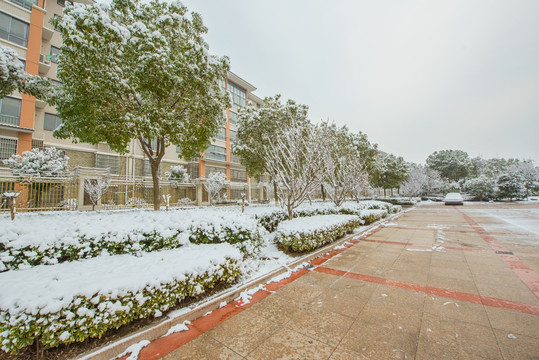 小区雪景