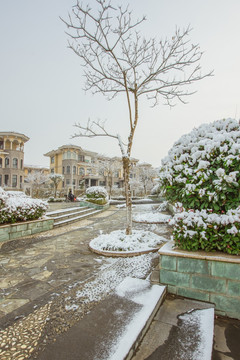 小区雪景