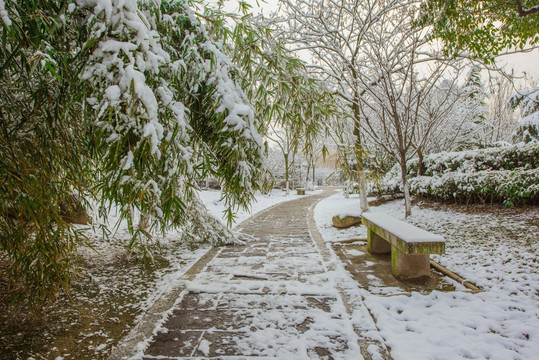 公园雪景