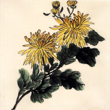 菊花 國(guó)畫 水墨畫
