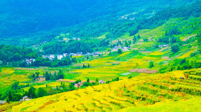 山村 梯田 稻田