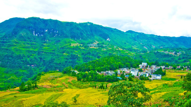 山村 稻田 山岭