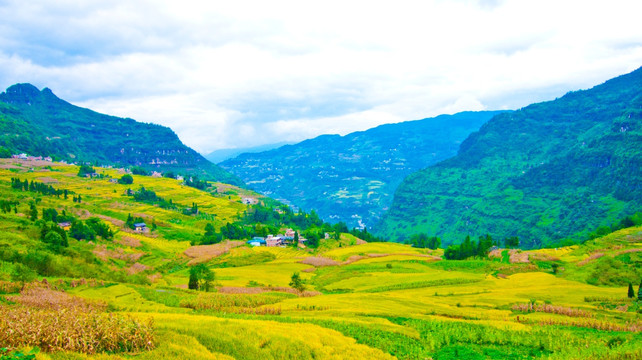 稻田 梯田 崇山峻岭