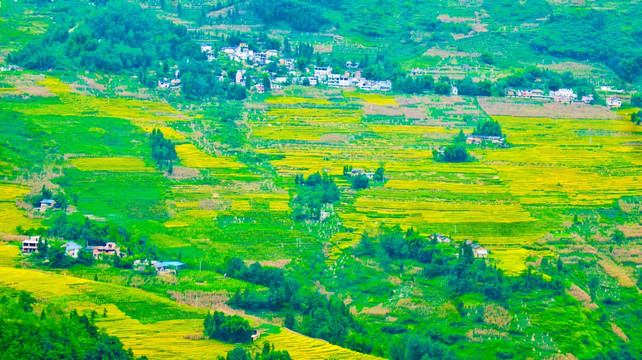 梯田 山村