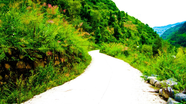 乡村公路 山野