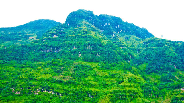 青山 大山 山峰