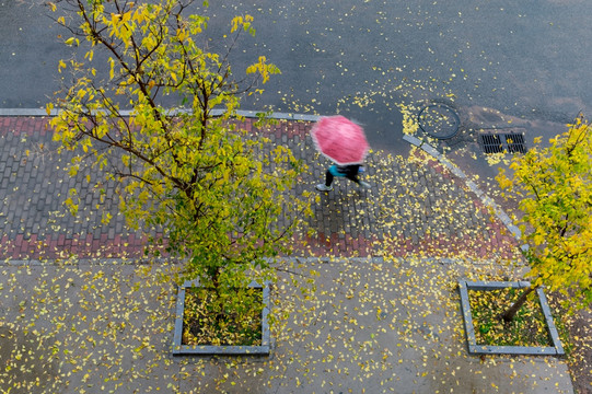 秋雨