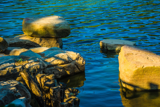 阳光下的湖景