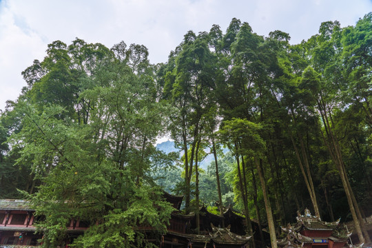 青城山大门