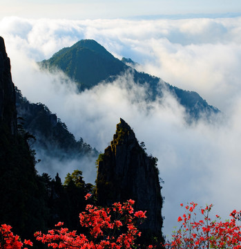 明月山 羊狮慕