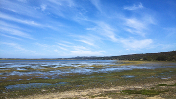 湖边湿地