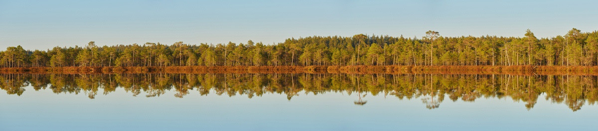 唯美大自然之爱沙尼亚湖泊树林