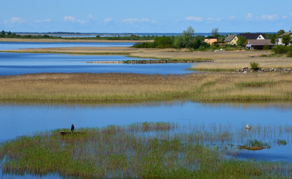 唯美大自然之爱沙尼亚湿地