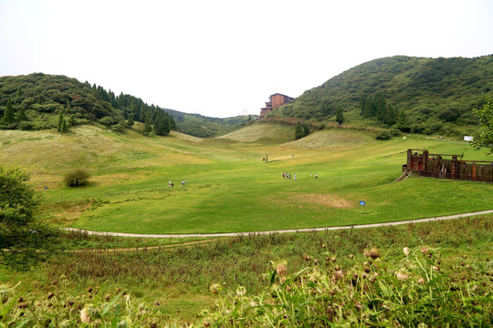 金佛山 药池坝 草原 森林