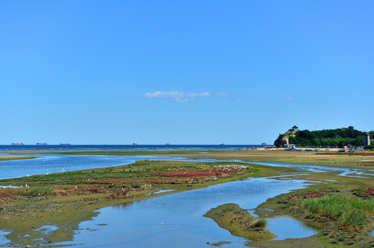 北戴河鸽子窝湿地