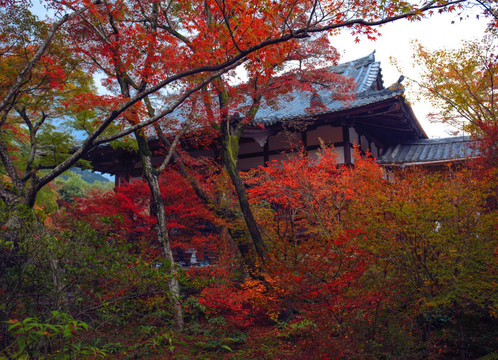 日本京都宝严院