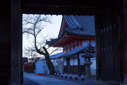 日本 京都 清水寺