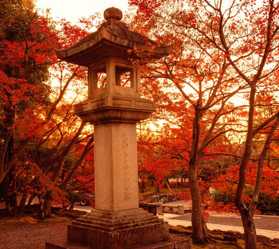 京都 岚山 天龙寺