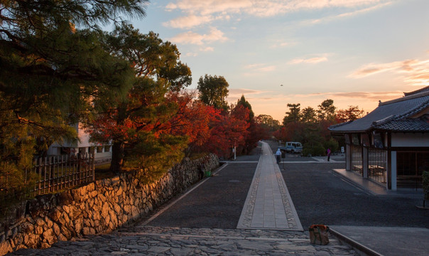 京都 岚山 天龙寺