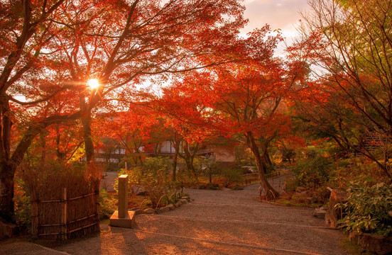 京都 岚山 天龙寺