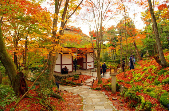 日本京都常寂光寺