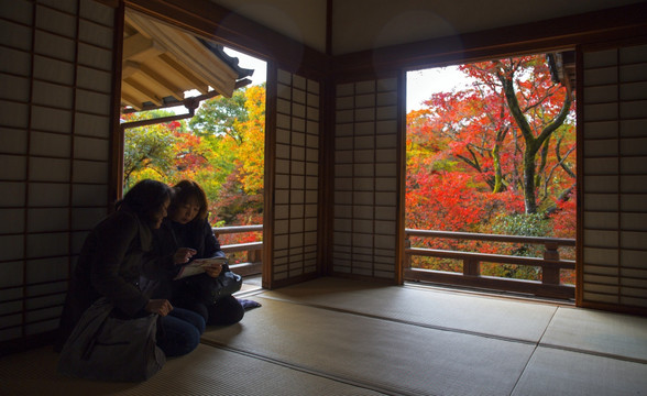 日本京都红叶