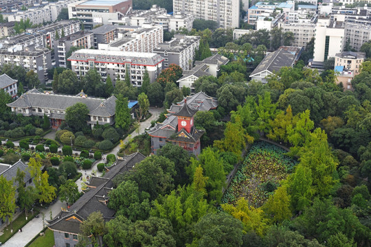 四川大學華西壩鐘樓秋色