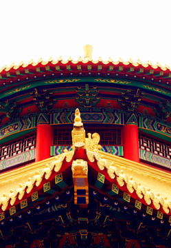 古建 亭子 飛檐