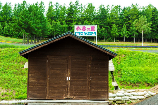 森林木屋