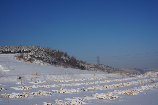 东北雪山