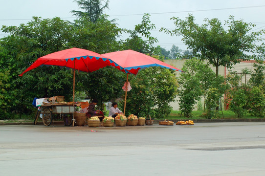 乡镇小景 沿路卖水果的村民