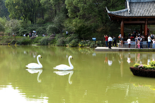 南平玉屏山公园