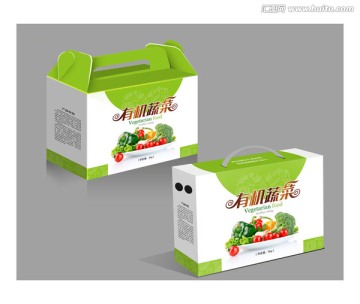 有機蔬菜平面展開