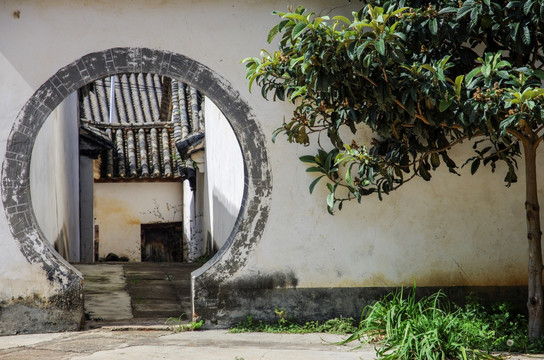 小镇 古城 植物 房屋