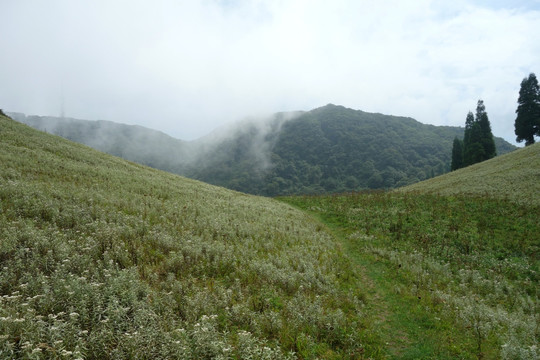 山野 云雾山脉 金佛山