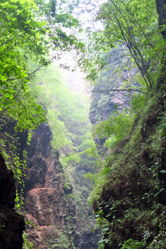 峡谷 悬崖峭壁