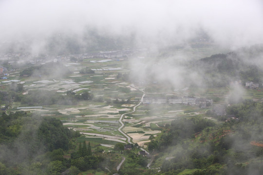 雾色田园