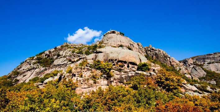 神山 白桦树 树林 秋景 秋