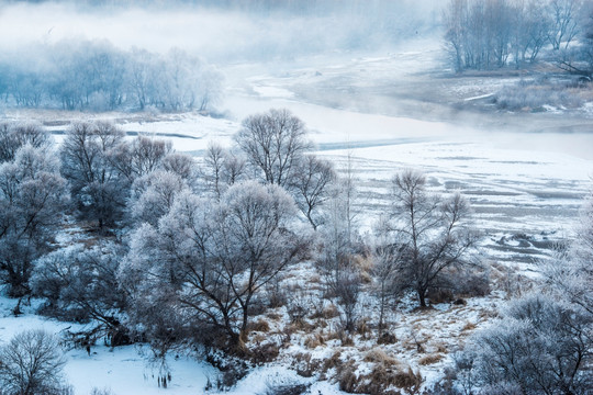 雾凇 雪景 冬天 自然奇观 树