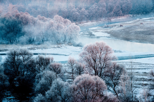 雾凇 雪景 冬天 自然奇观 树