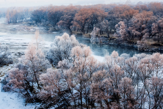 雾凇 雪景 冬天 自然奇观 树