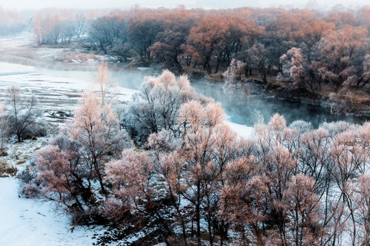 雾凇 雪景 冬天 自然奇观 树