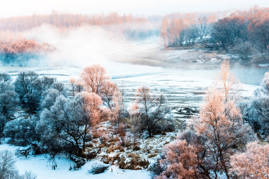 雾凇 雪景 冬天 自然奇观 树