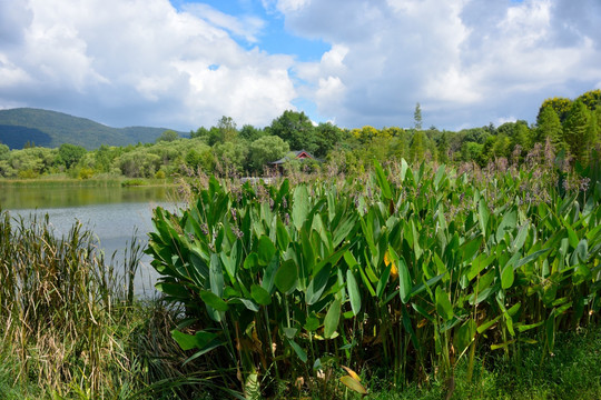 南京钟山风景名胜区