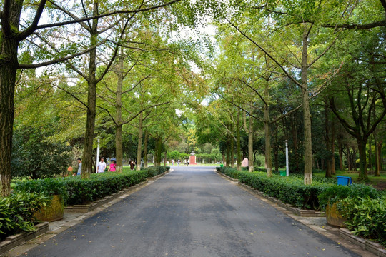 中山植物园